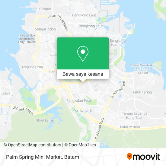 Peta Palm Spring Mini Market