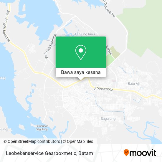 Peta Leobekenservice Gearboxmetic