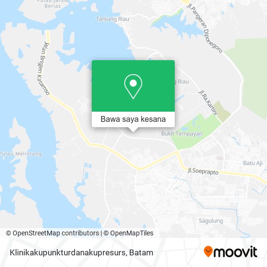 Peta Klinikakupunkturdanakupresurs