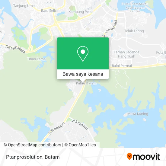 Peta Ptanprosolution