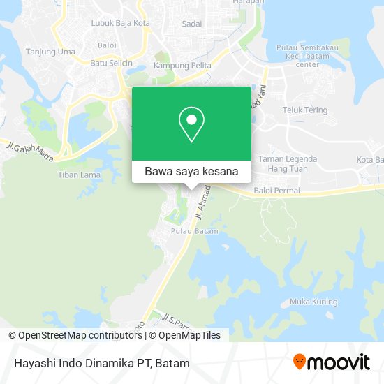 Peta Hayashi Indo Dinamika PT