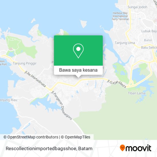 Peta Rescollectionimportedbagsshoe