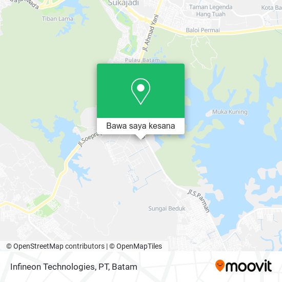 Peta Infineon Technologies, PT