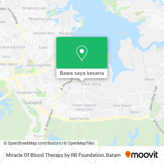 Peta Miracle Of Blood Therapy by RB Foundation