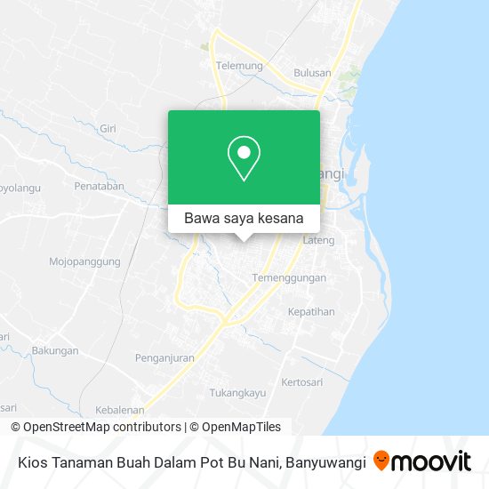 Peta Kios Tanaman Buah Dalam Pot Bu Nani