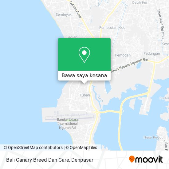 Peta Bali Canary Breed Dan Care