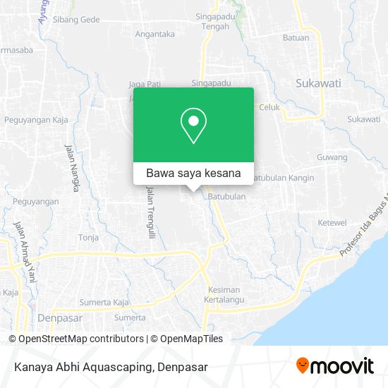 Peta Kanaya Abhi Aquascaping