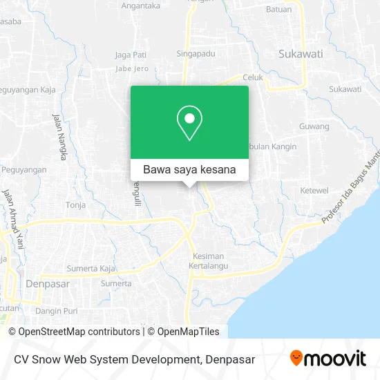 Peta CV Snow Web System Development