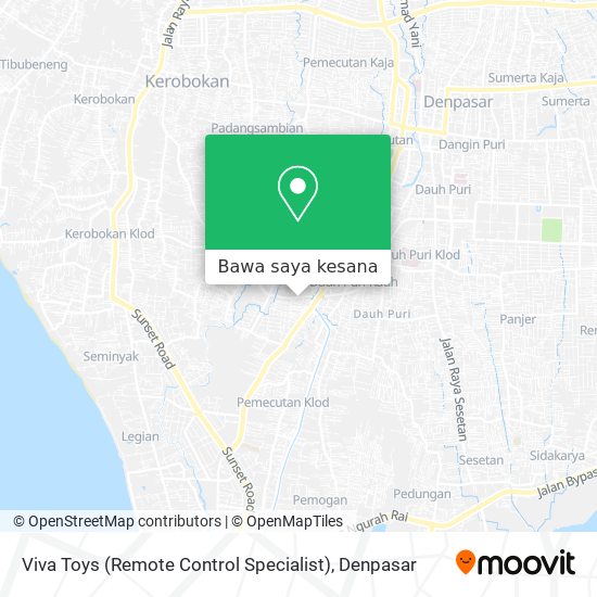 Peta Viva Toys (Remote Control Specialist)
