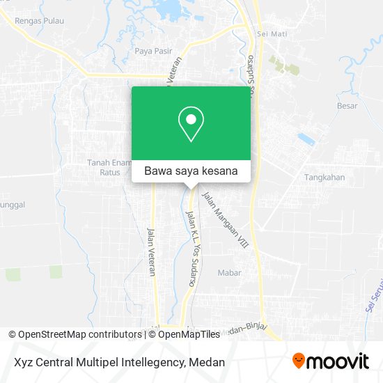 Peta Xyz Central Multipel Intellegency