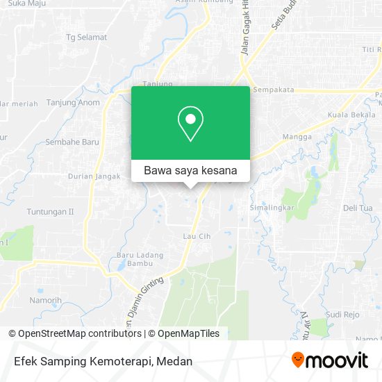 Peta Efek Samping Kemoterapi
