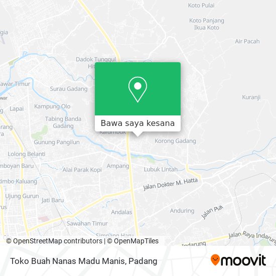 Peta Toko Buah Nanas Madu Manis