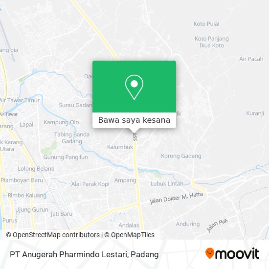 Peta PT Anugerah Pharmindo Lestari