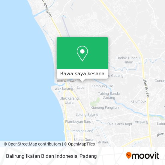 Peta Balirung Ikatan Bidan Indonesia