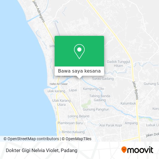 Peta Dokter Gigi Nelvia Violet