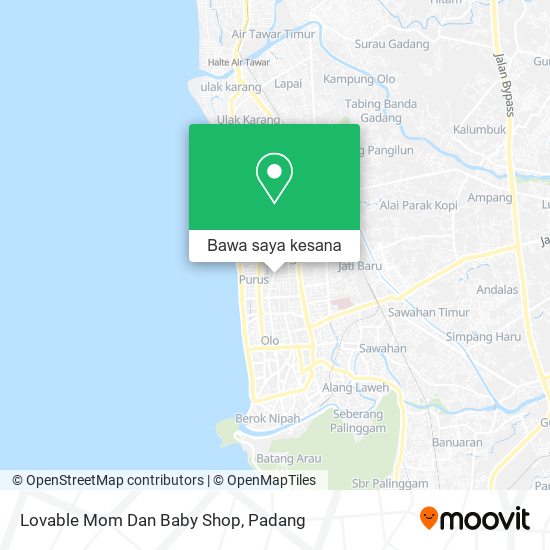 Peta Lovable Mom Dan Baby Shop