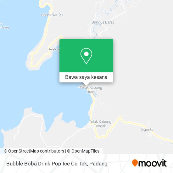 Peta Bubble Boba Drink Pop Ice Ce Tek