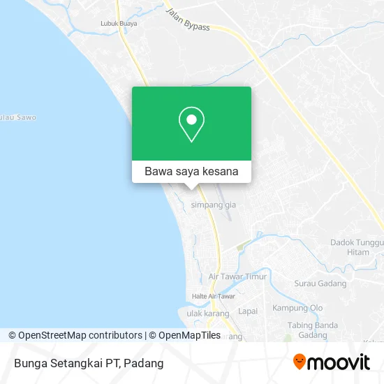 Peta Bunga Setangkai PT