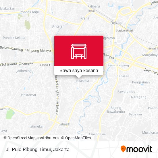 Peta Jl. Pulo Ribung Timur