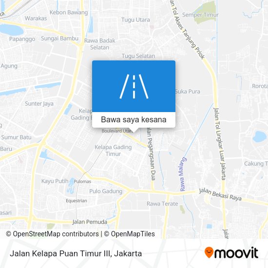 Peta Jalan Kelapa Puan Timur III