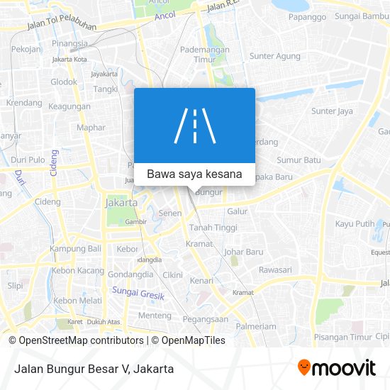 Peta Jalan Bungur Besar V