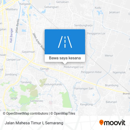 Peta Jalan Mahesa Timur I