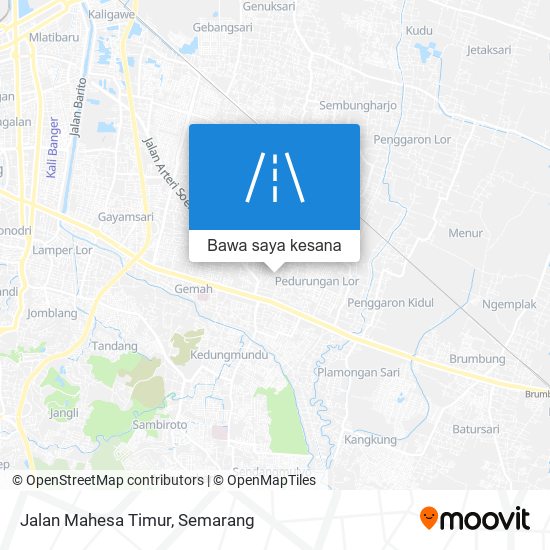 Peta Jalan Mahesa Timur