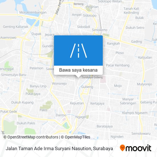 Peta Jalan Taman Ade Irma Suryani Nasution