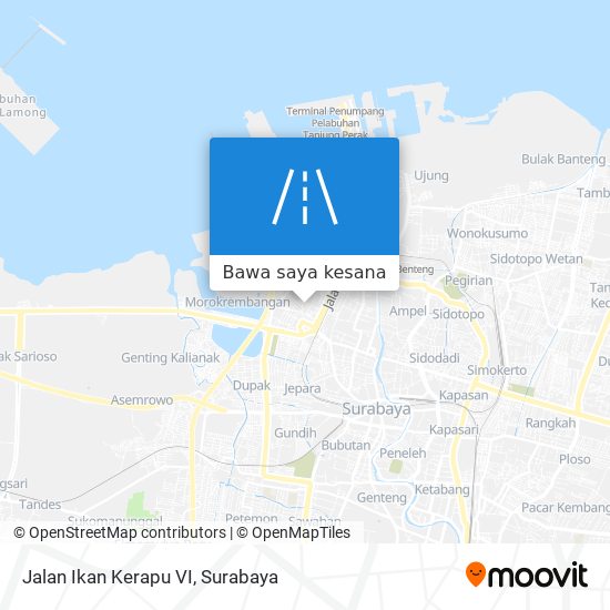 Peta Jalan Ikan Kerapu VI