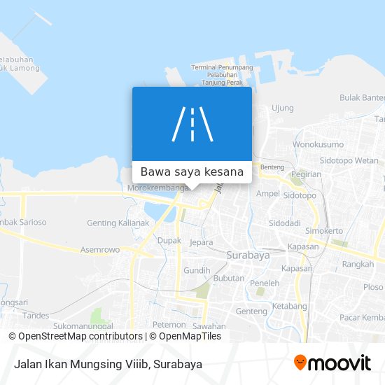 Peta Jalan Ikan Mungsing Viiib