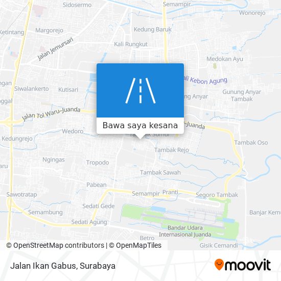 Peta Jalan Ikan Gabus