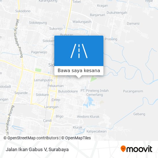 Peta Jalan Ikan Gabus V