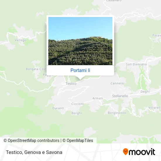 Mappa Testico