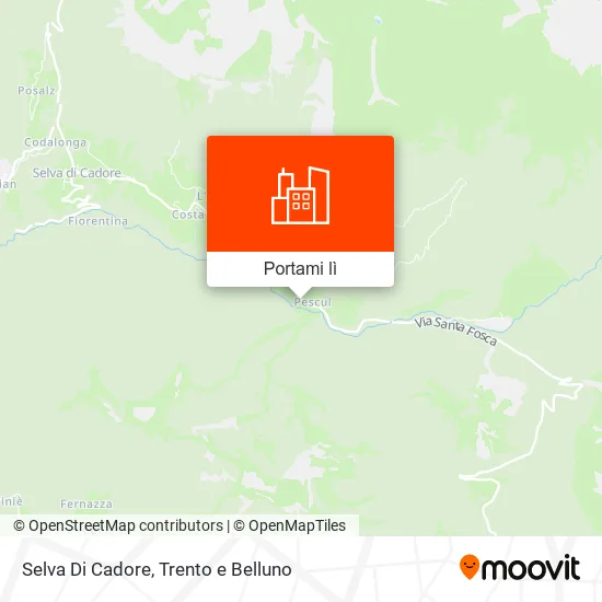 Mappa Selva Di Cadore