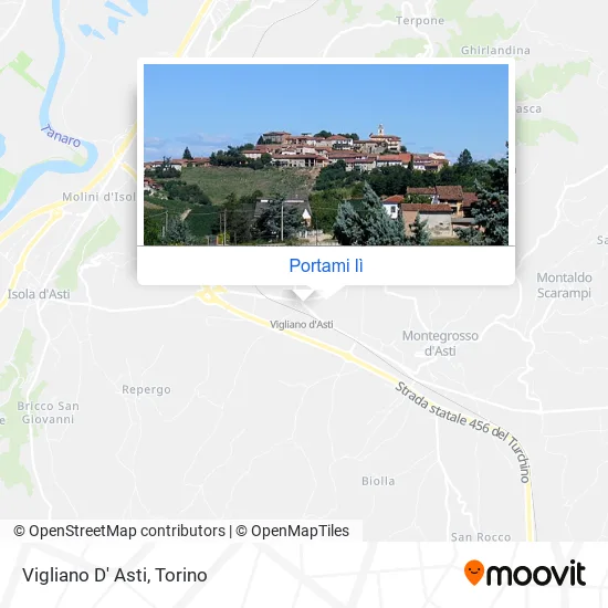 Mappa Vigliano D' Asti