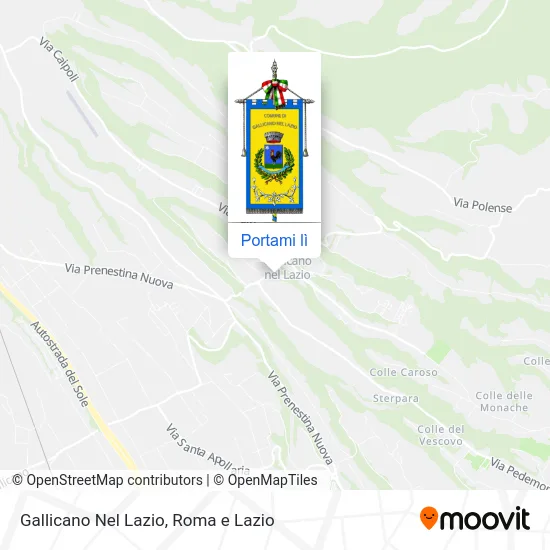 Mappa Gallicano Nel Lazio