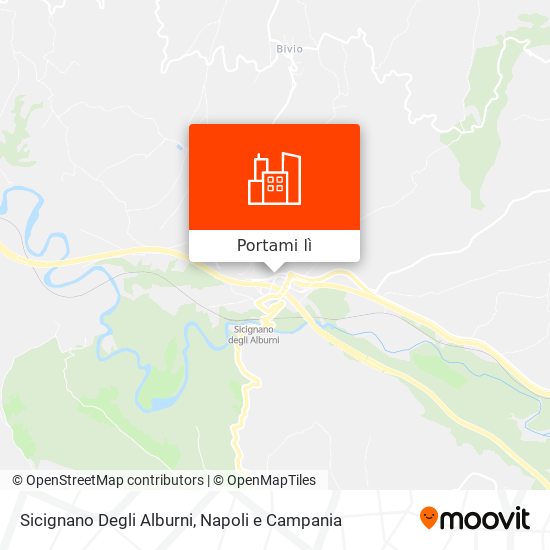 Mappa Sicignano Degli Alburni