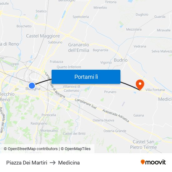 Piazza Dei Martiri to Medicina map