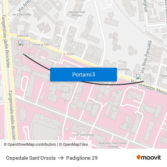 Ospedale Sant'Orsola to Padiglione 29 map