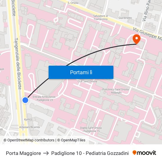 Porta Maggiore to Padiglione 10 - Pediatria Gozzadini map