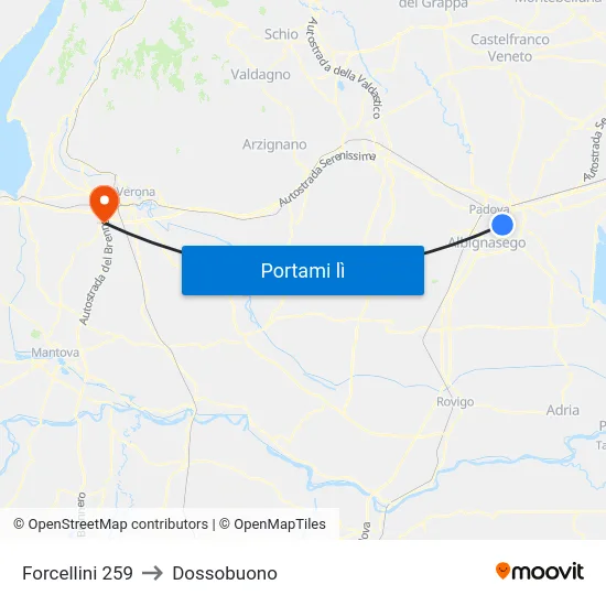 Forcellini 259 to Dossobuono map