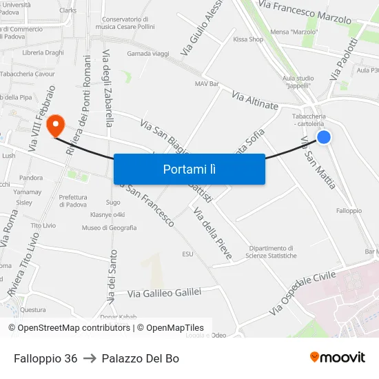 Falloppio 36 to Palazzo Del Bo map