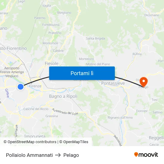 Pollaiolo Ammannati to Pelago map