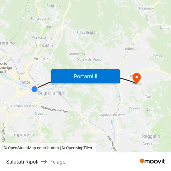Salutati Ripoli to Pelago map