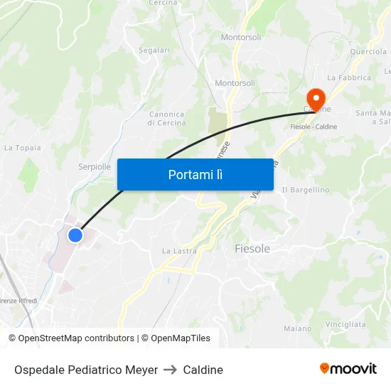Ospedale Pediatrico Meyer to Caldine map