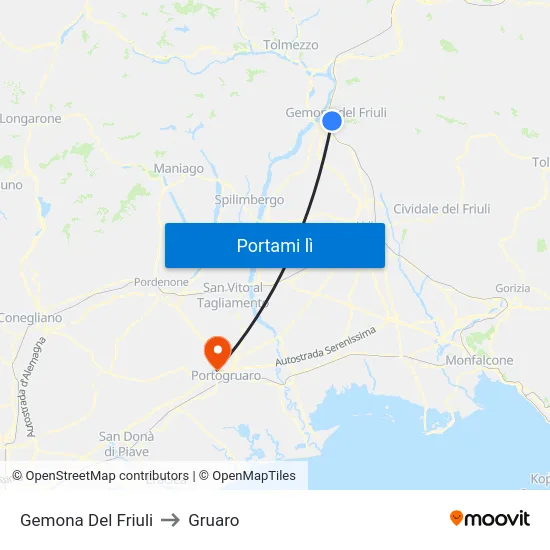 Gemona Del Friuli to Gruaro map