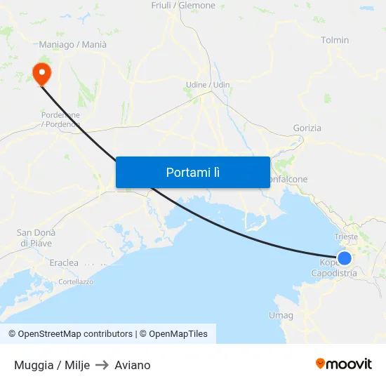 Muggia / Milje to Aviano map