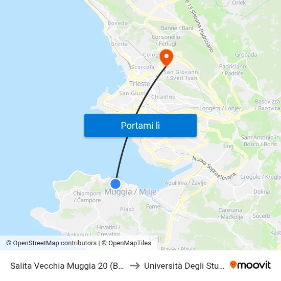 Salita Vecchia Muggia 20 (Borgo San Pietro) to Università Degli Studi Di Trieste map
