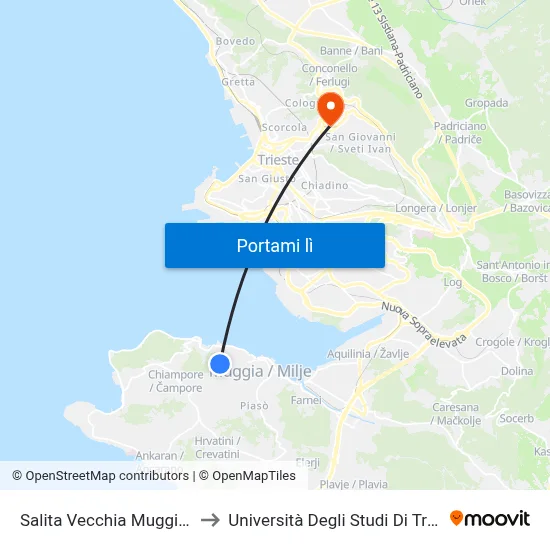 Salita Vecchia Muggia 42 to Università Degli Studi Di Trieste map