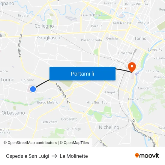 Ospedale San Luigi to Le Molinette map